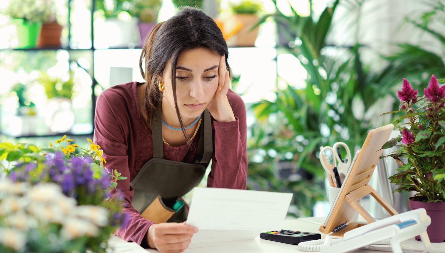 graf - prieskum: pokračovanie v podnikaní