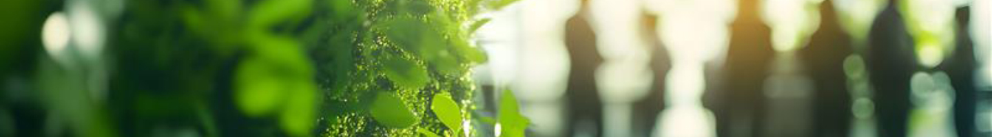 korporatny header