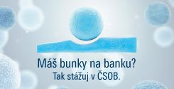 ČSOB Trainee program - odbehni si na stáž